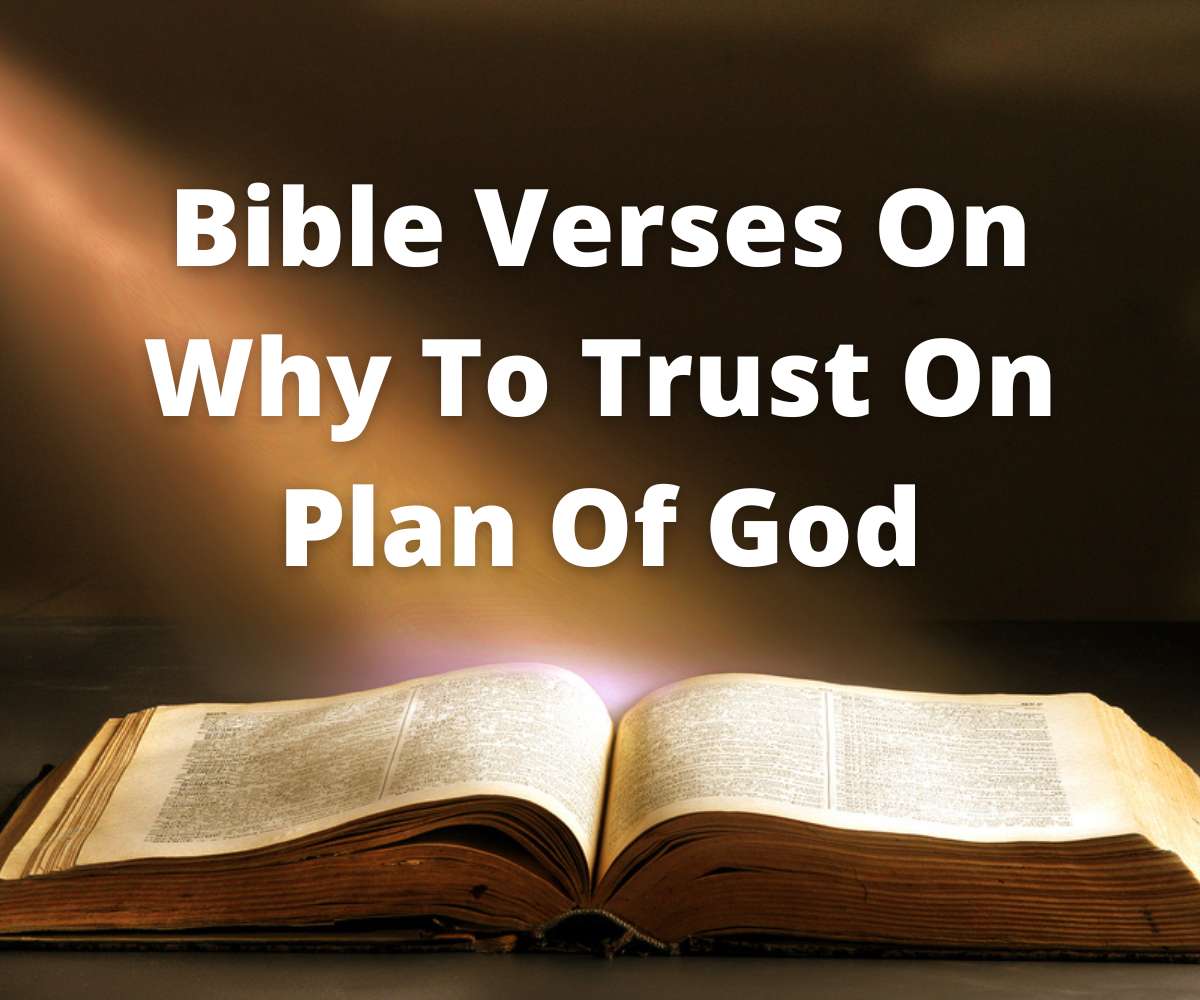 bible-verses-on-why-to-trust-on-plan-of-god